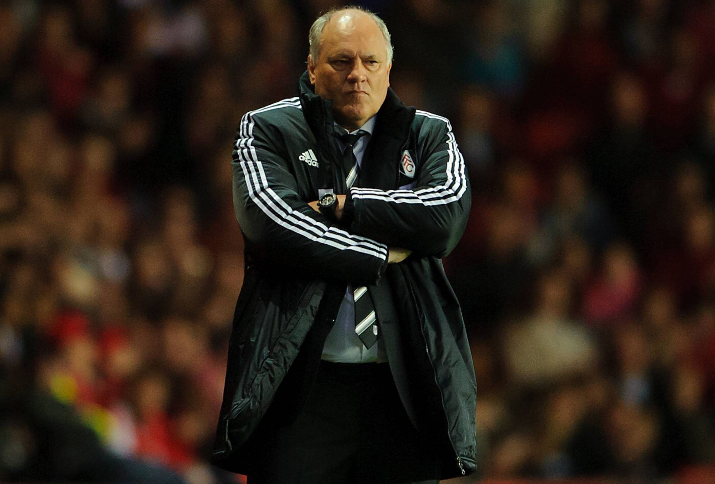 
                <strong>Martin Jol</strong><br>
                Neben seiner einjährigen Amtszeit beim Hamburger SV war der Niederländer Trainer bei den Tottenham Hotspurs, Ajax Amsterdam und zuletzt beim FC Fulham. Martin Jol seit zwei Jahren ohne Klub.
              