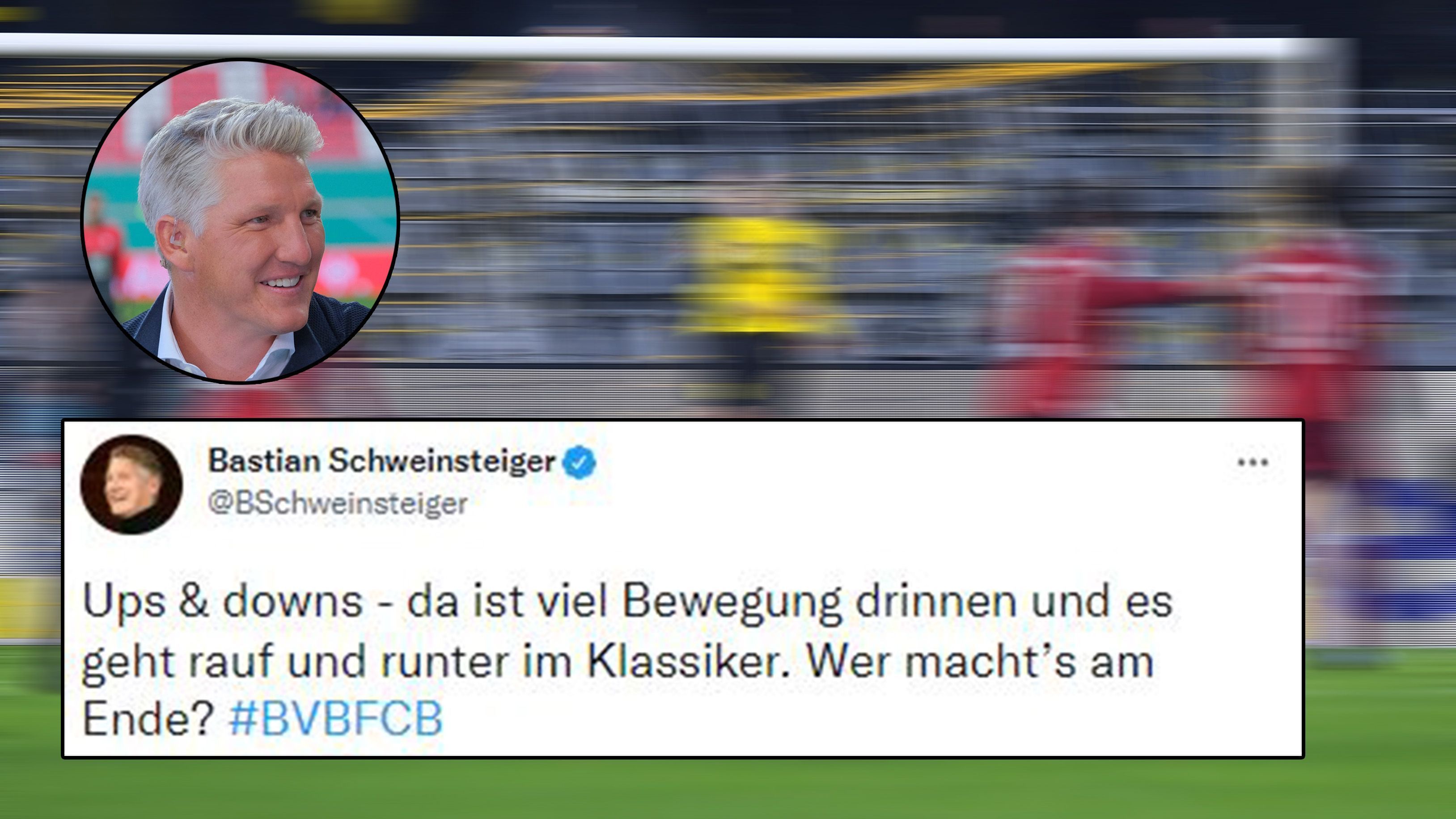 
                <strong>Auch Schweini gefällt's!</strong><br>
                Jemand Einwände? Wir nicht. 
              