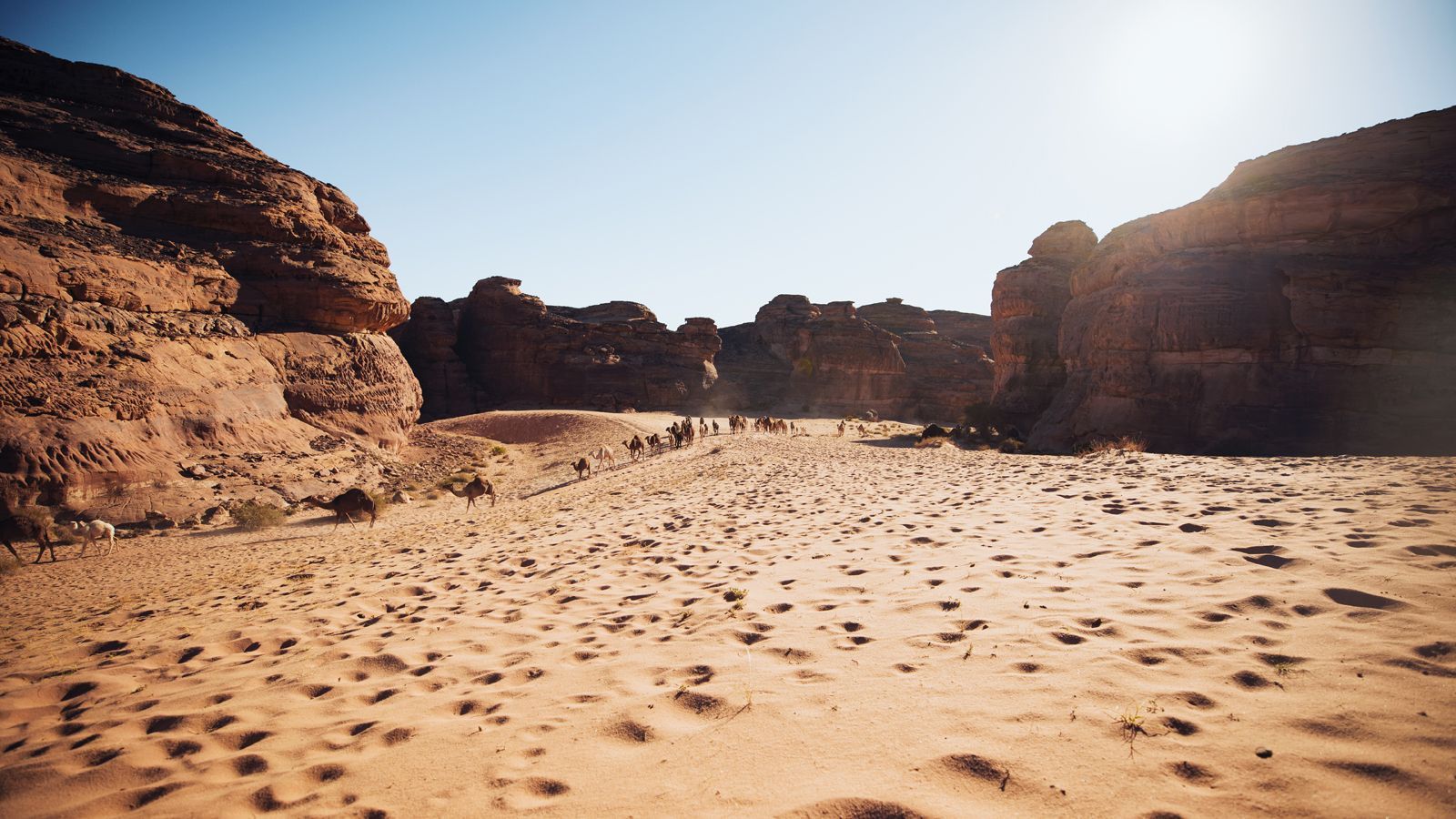 
                <strong>Desert X-Prix</strong><br>
                Die Extreme E möchte in Saudi-Arabien auf die zunehmende Wüstenbildung hinweisen. Der Klimawandel verschlechtert den Boden. Menschen, Tieren und Pflanzen verlieren immer mehr Lebensraum.
              