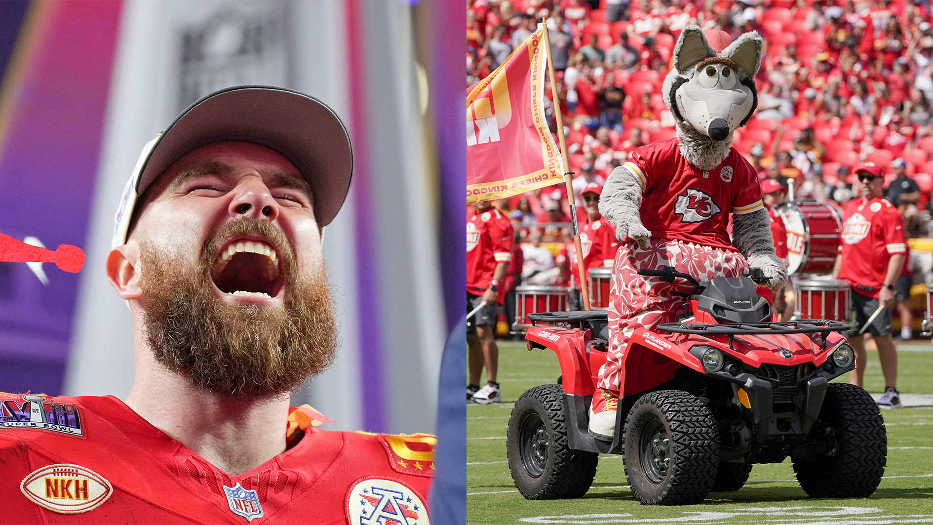 <strong>Travis Kelce mit Jobwechsel</strong><br>Nach zwei Konzerten wirds ihm zu viel. Er kehrt nach Kansas City zurück. Künftig kämpft er im Kostüm von Maskottchen KC Wolf für sein Recht auf Party.