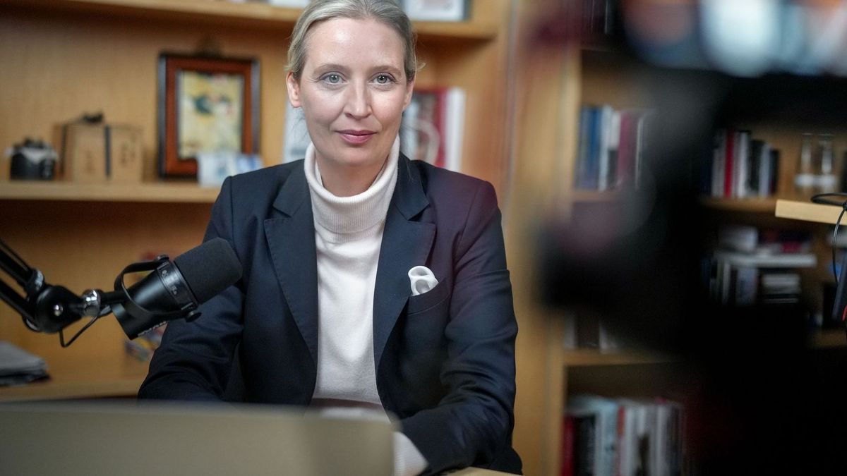 Live-Talk auf X mit Weidel und Musk
