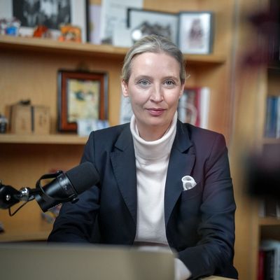 Live-Talk auf X mit Weidel und Musk