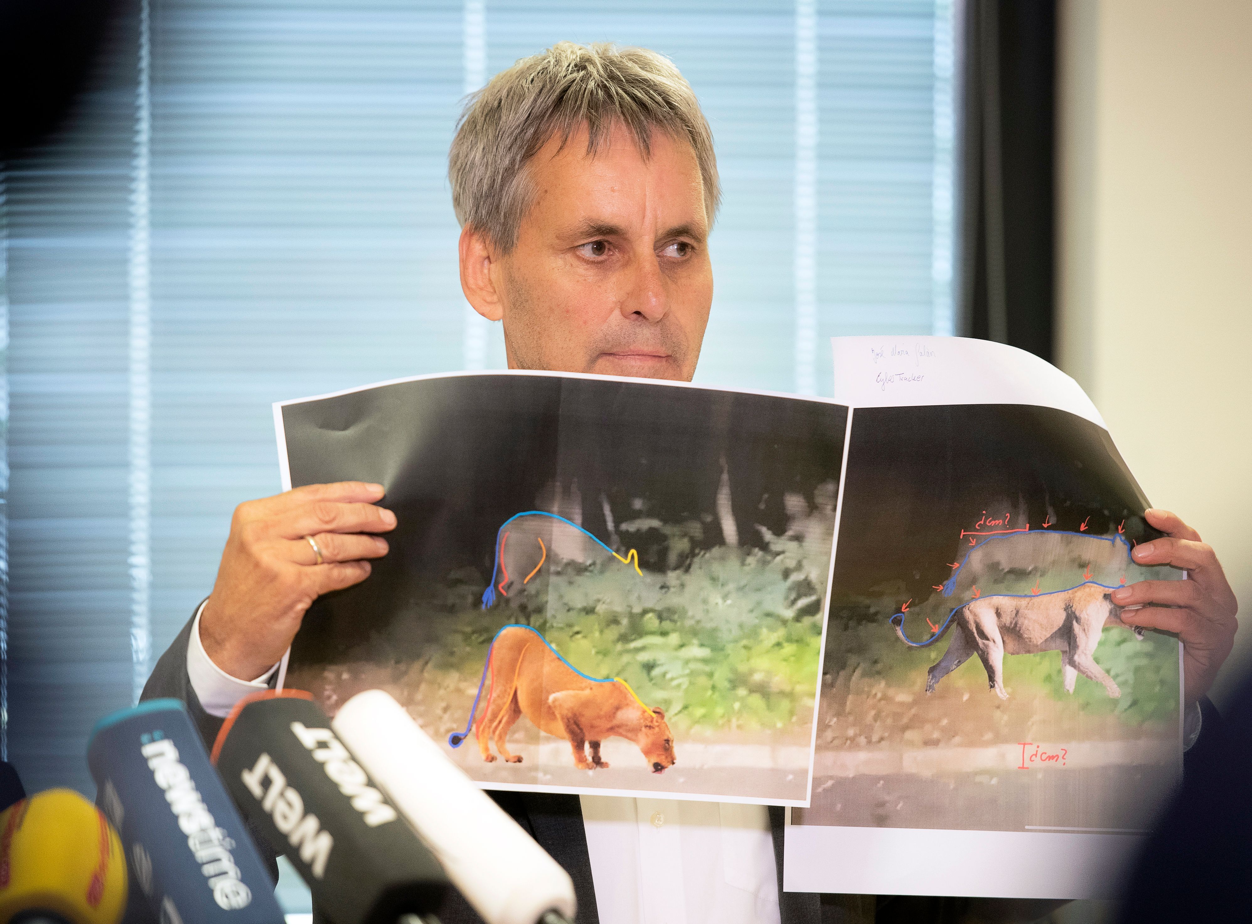 21. Juli 2023:&nbsp; Michael Grubert (SPD), Bürgermeister von Kleinmachnow, erklärt anhand von Fotos, weshalb es sich bei dem gesuchten Raubtier in Berlin nicht um eine Löwin, sondern wohl um ein Wildschwein handelte.