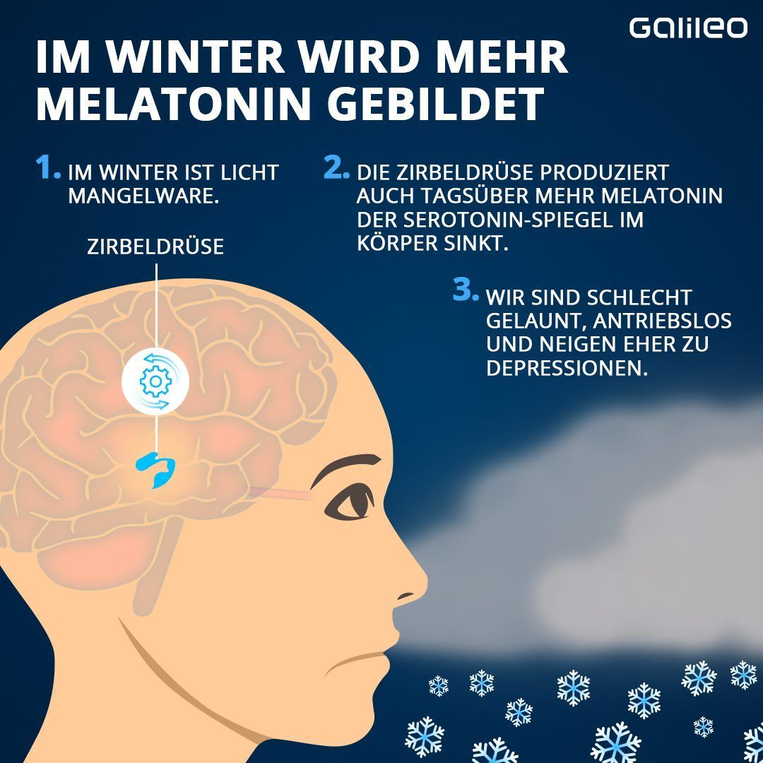 Darum wird im Winter mehr Melatonin gebildet. 