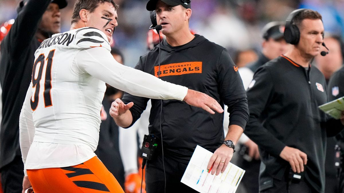 NFL, American Football Herren, USA Cincinnati Bengals at Los Angeles Chargers Nov 17, 2024; Inglewood, CA, USA; Cincinnati Bengals defensive end Trey Hendrickson (91) shouts at head coach Zac Taylo...