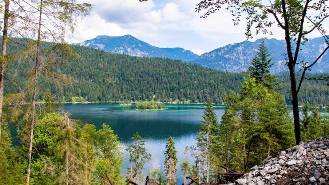 Nachhaltig reisen: 5 Eco-Unterkünfte in Bayern zum Entspannen in der Natur