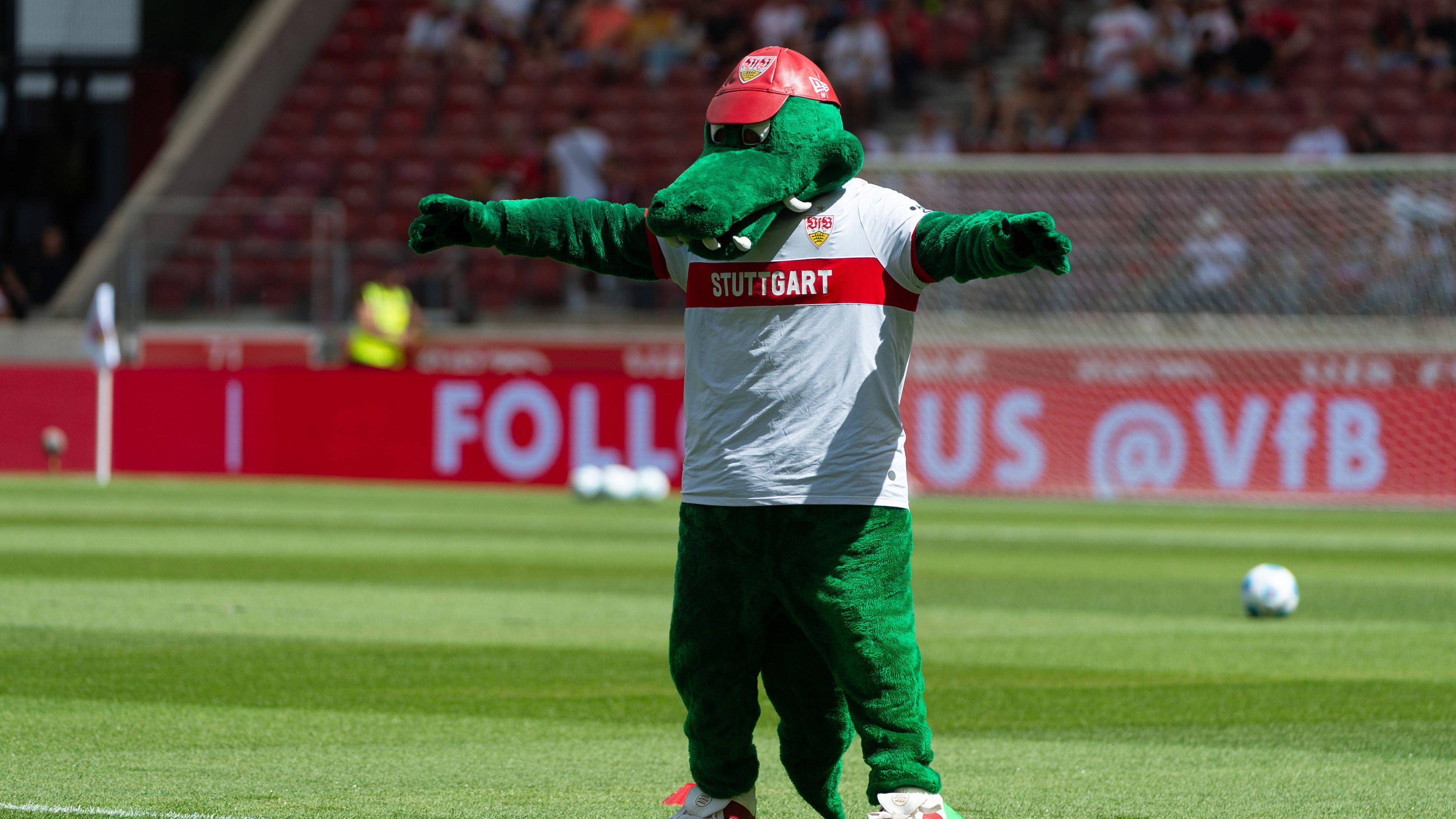 <strong>VfB Stuttgart: Fritzle</strong><br>Das schwäbische Krokodil Fritzle feiert gern mit der Mannschaft und den Fans im Stadion. Der Verein nennt ihn deshalb den "Chef-Animateur". Seinen Namen hat das Maskottchen von Vereins-Ikone Fritz Walter.