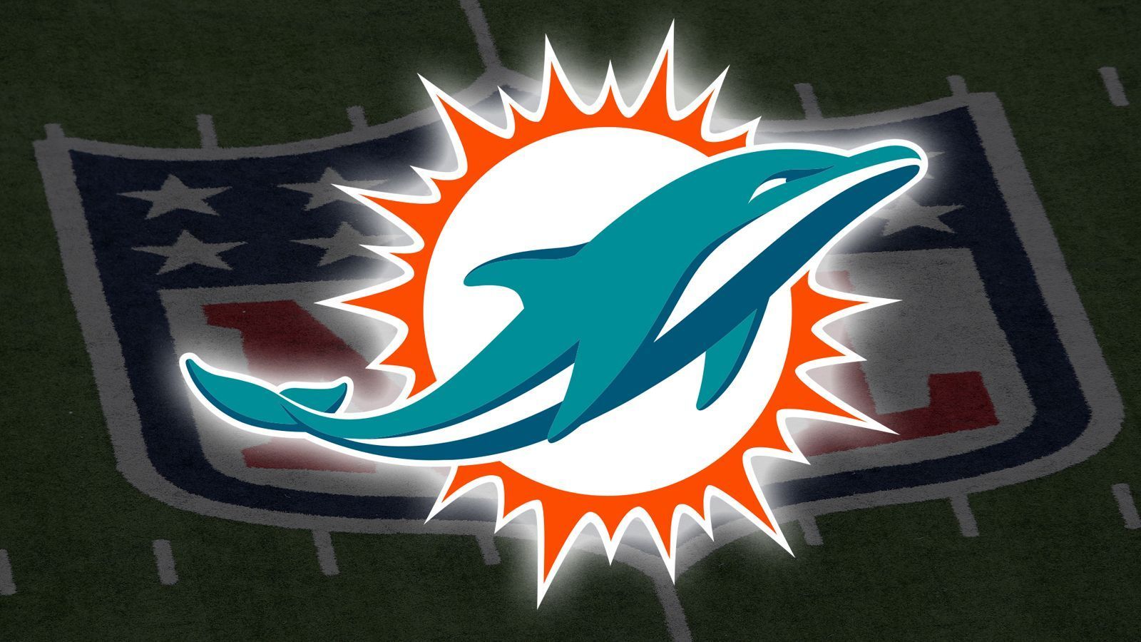 
                <strong>Miami Dolphins</strong><br>
                
              