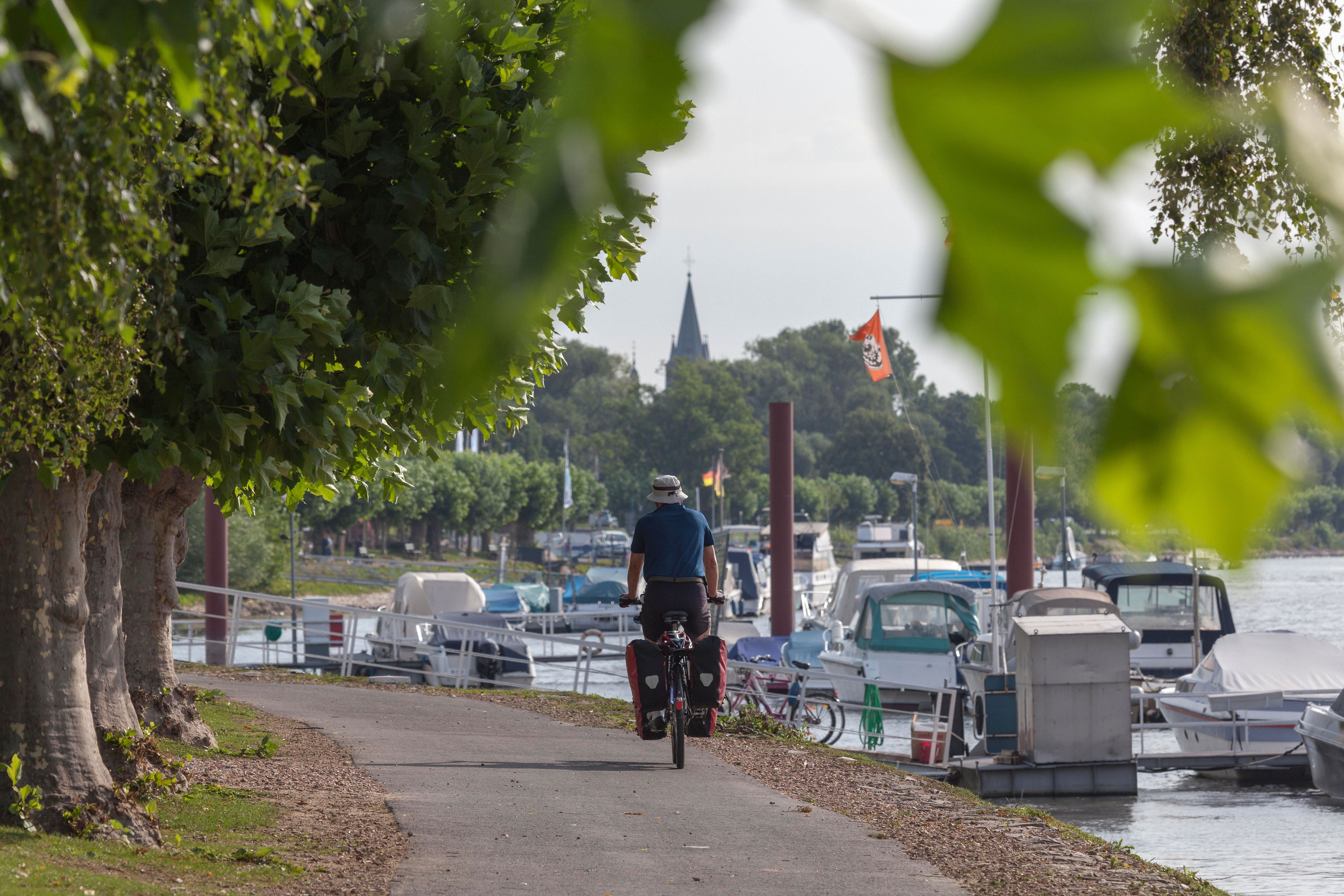 Alle, die sich für Märchen interessieren, sind beim Hessischen Fernradweg richtig: Du triffst entlang der Strecke immer wieder auf die Spuren von märchenhaften Erzählungen wie Dornröschen und Frau Holle.&nbsp;