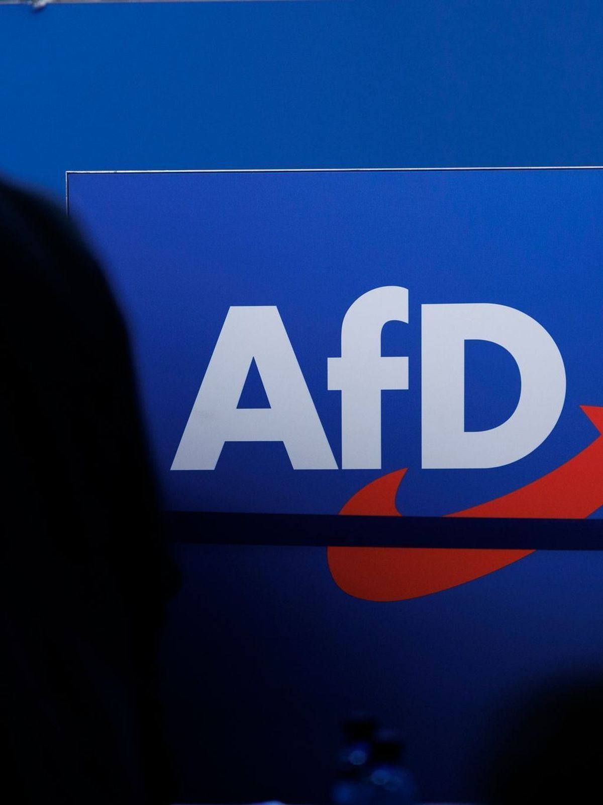 AfD Logo - SYMBOLBILD