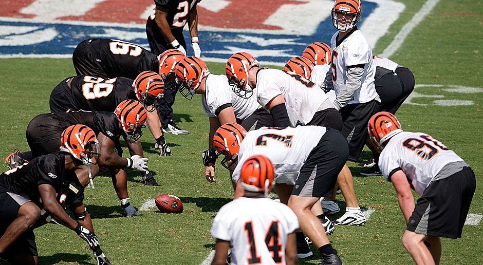 
                <strong>Cincinnati Bengals</strong><br>
                2009: Cincinnati Bengals
              