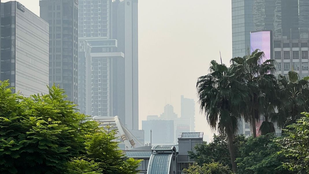 Extrem-Smog: Ärzte rufen zum Masketragen auf