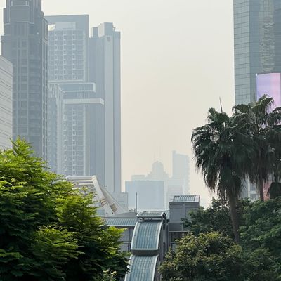 Extrem-Smog: Ärzte rufen zum Masketragen auf