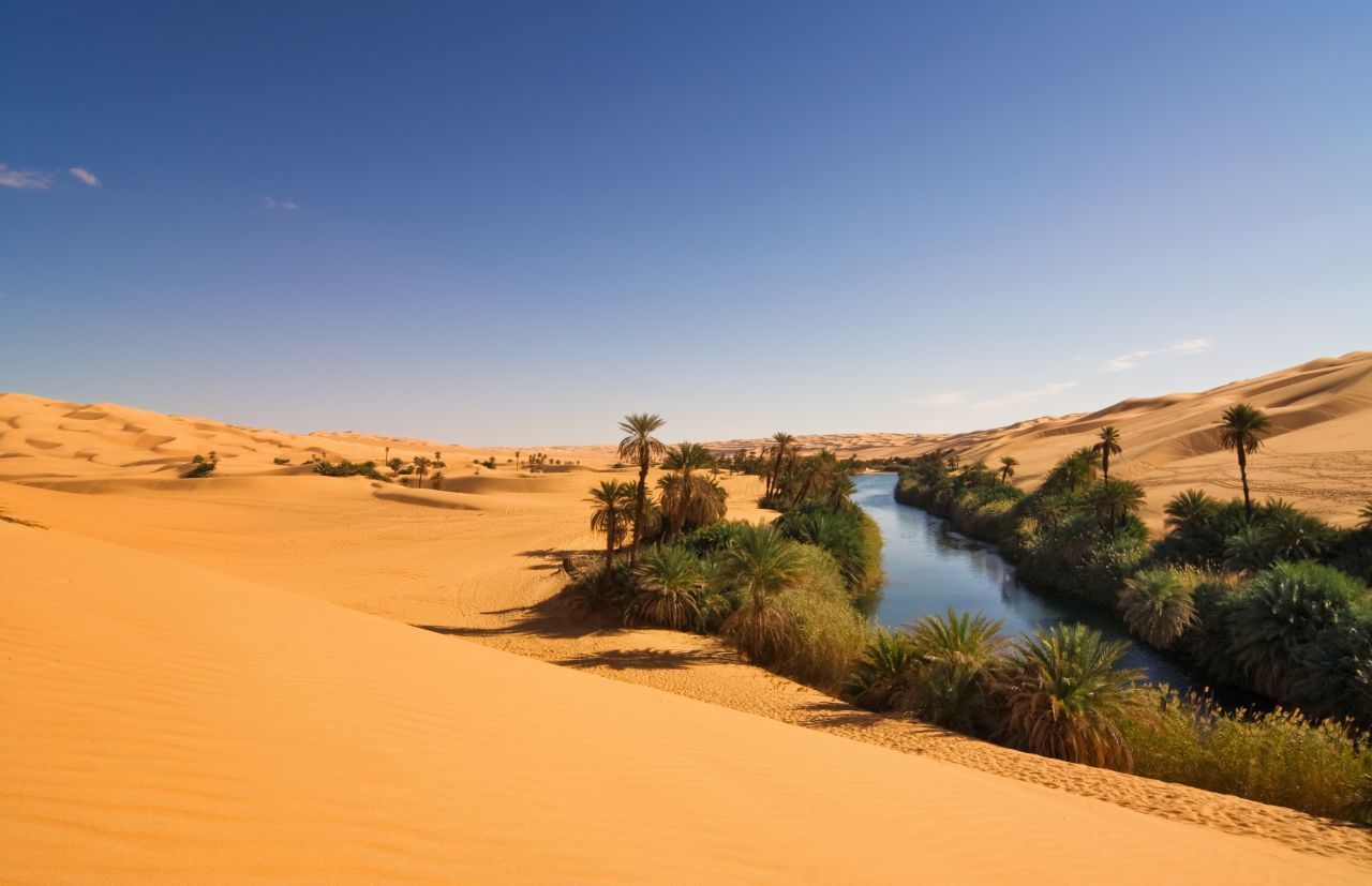 An Seen und Quellen finden sich in der Sahara grüne Oasen, so wie hier der See Umm el Ma in Libyen.