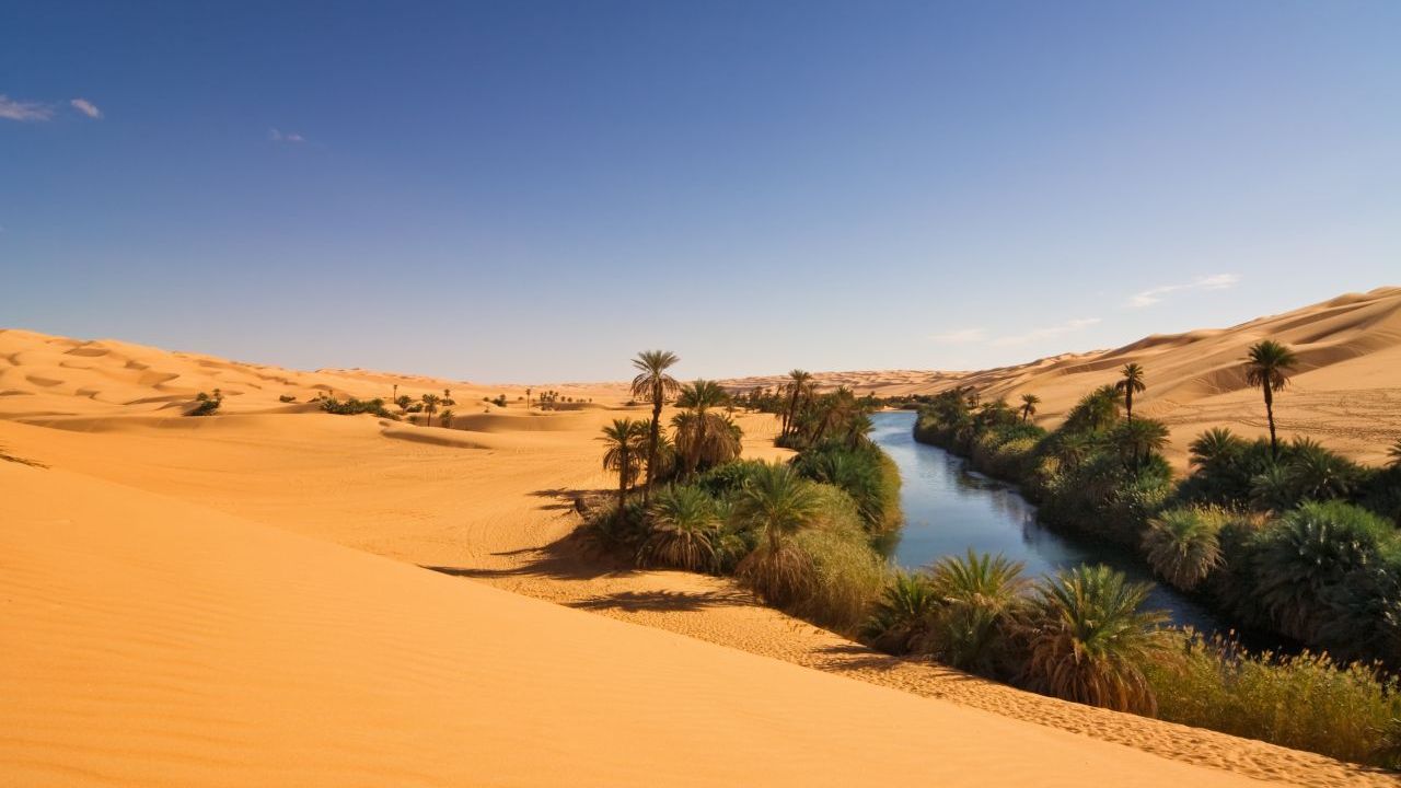 An Seen und Quellen finden sich in der Sahara grüne Oasen, so wie hier der See Umm el Ma in Libyen.