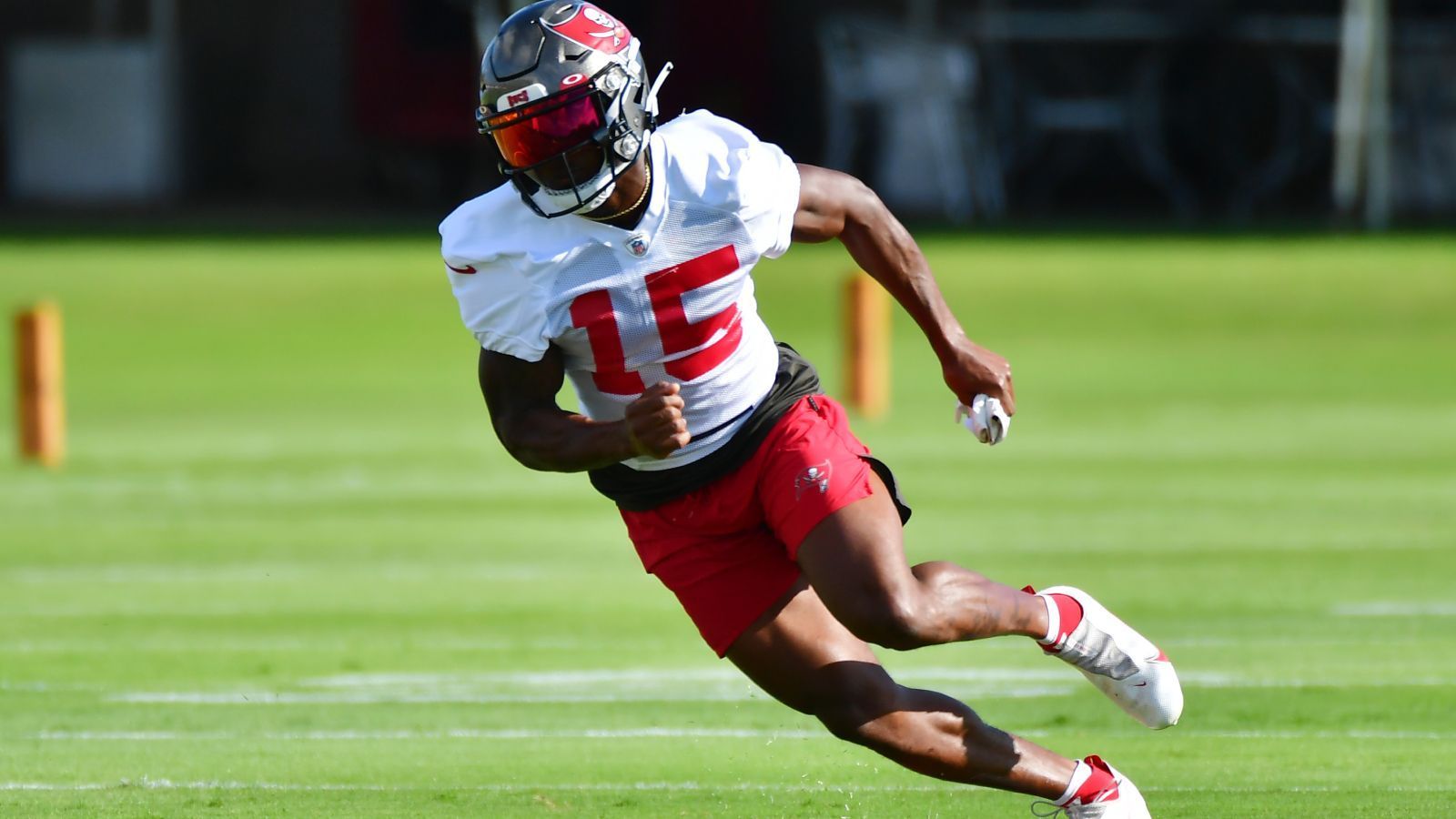 
                <strong>Tampa Bay Buccaneers (NFC South): Cyril Grayson</strong><br>
                Die Geschichte von Cyril Grayson ist besonders. Bei LSU am College spielte er nämlich keinen einzigen Snap Football, stattdessen war er im Sprint-Team der Tigers. Der Wide Receiver geht in seine vierte NFL-Saison und könnte erstmals starten, denn nach dem Abgang von Antonio Brown sowie der verletzungsbedingten Abwesenheit von Chris Godwin sind zwei Receiver-Spots bei den Tampa Bay Buccaneers vakant. Grayson könnte diese mit seiner Schnelligkeit ausfüllen. Lichtblicke zeigte er bereits in der vergangenen Saison, als er gegen die New York Jets - jenem Spiel, das Brown vorzeitig verließ - den siegbringenden Touchdown fing.
              