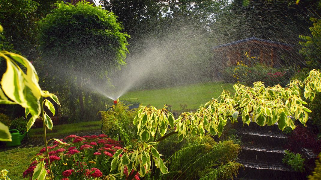 Gartenbewaesserung mit dem Rasensprenger