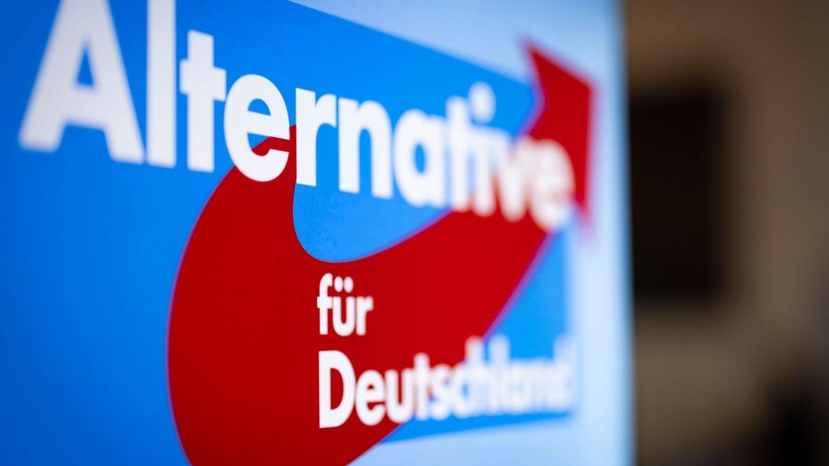 AfD-Mitgliederzahlen