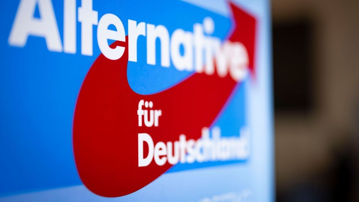 AfD-Mitgliederzahlen