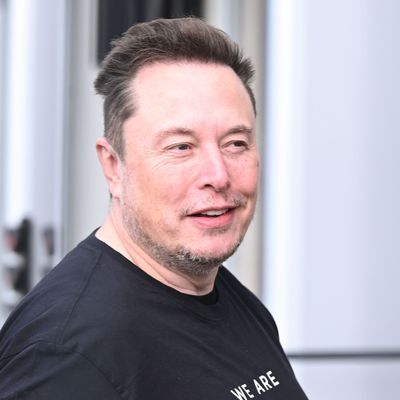 Tech-Milliardär Elon Musk 