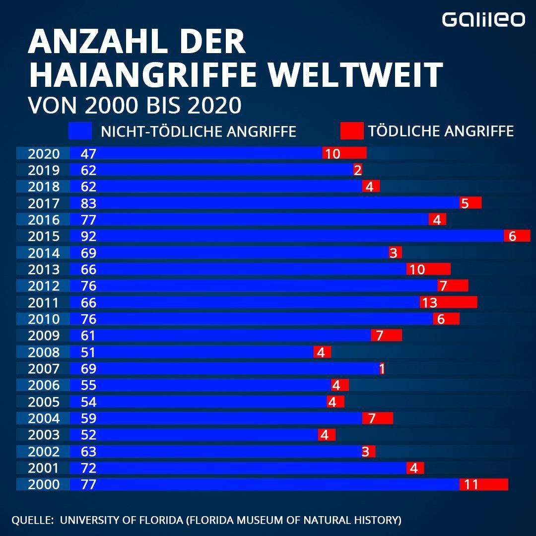 Anzahl der Haiangriffe