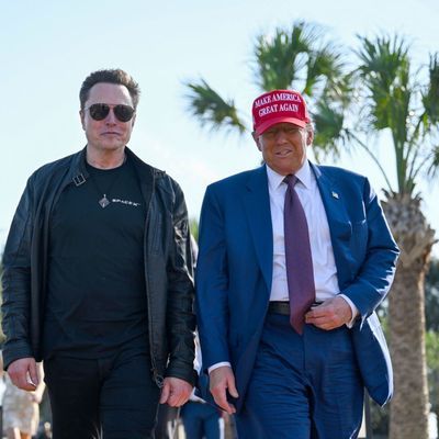 Elon Musk und Donald Trump 