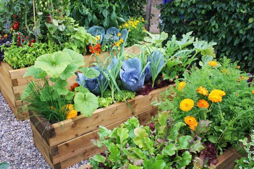 Freizeitgestaltung mit vielfältigen Benefits – der eigene Garten