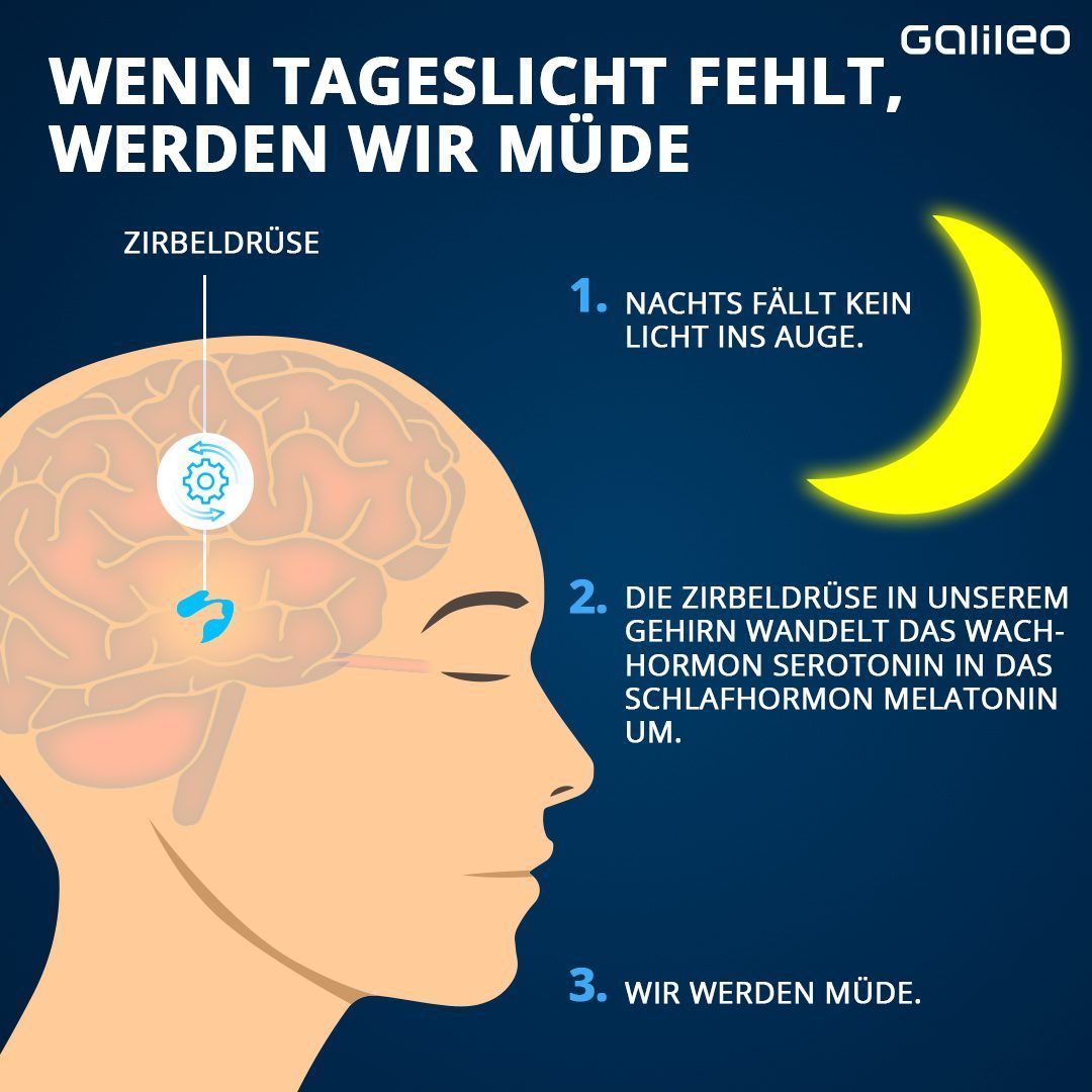 Darum bist du bei fehlendem Tageslicht müde. 