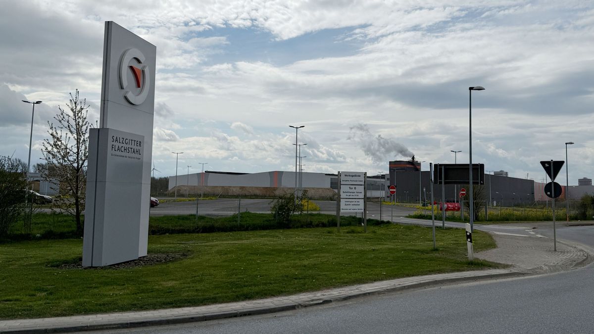 Auf dem Werk der Salzgitter AG in Niedersachsen ist es am Sonntag zu einem Flugzeugabsturz gekommen.