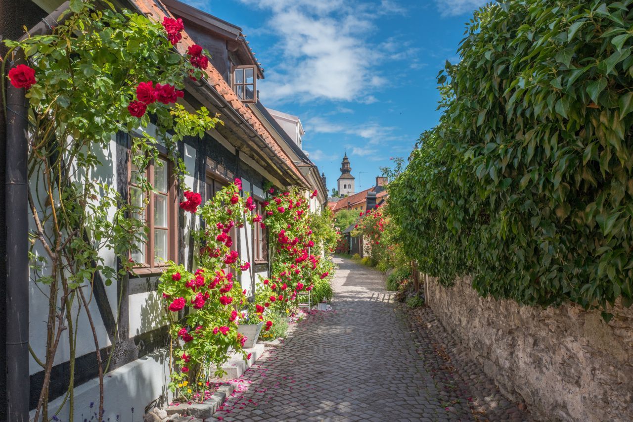 Im Namen der Rose: Pflanzen gelten als Indikatoren für einen gesunden Boden. Wo Rosen gut wachsen, soll es sich auch gut wohnen lassen.