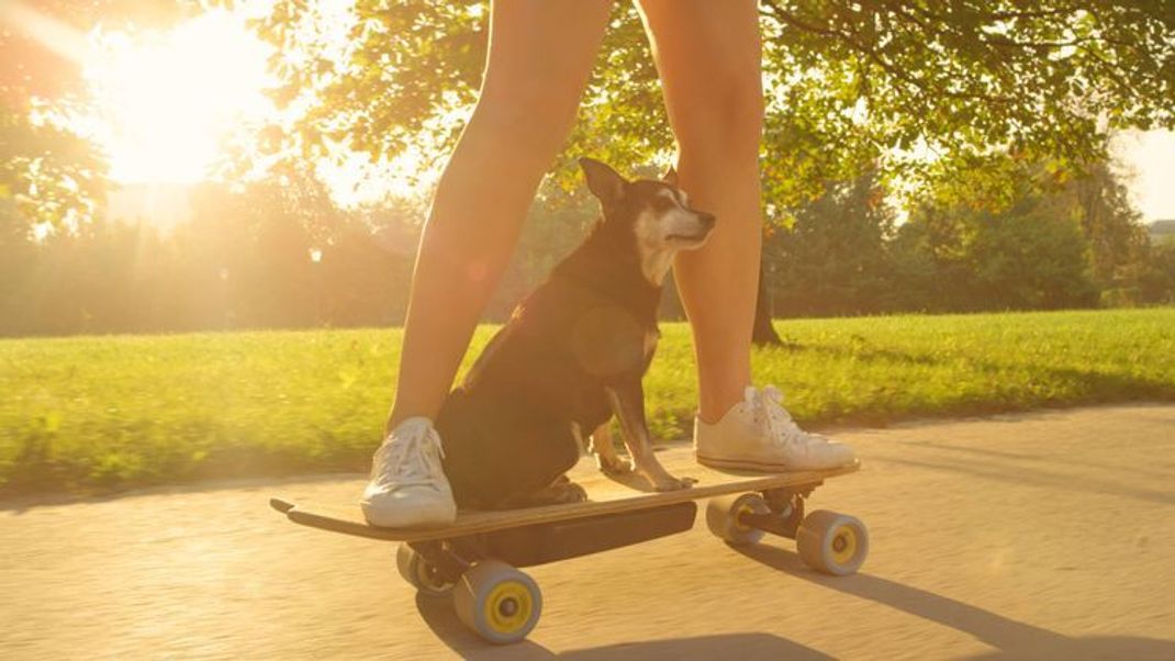 E-Skateboards Das können die neuen Elektro-Boards
