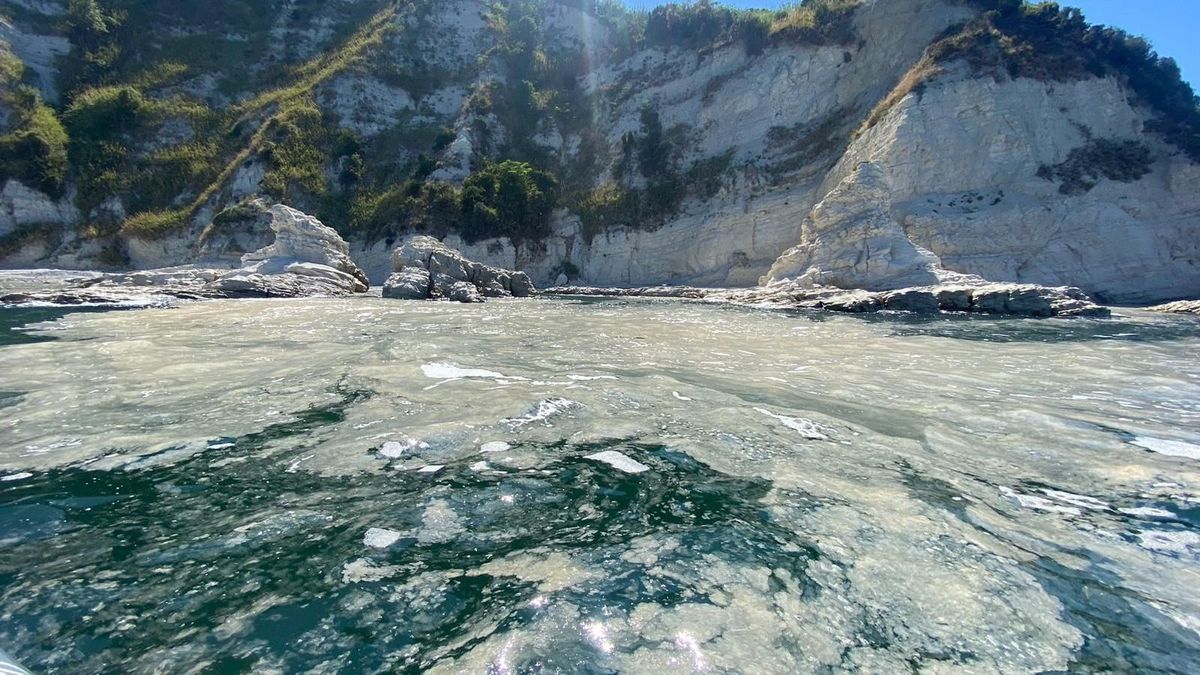 Mitten zur Urlaubszeit: Algenschleim vermiest Strandurlaub an der Adria