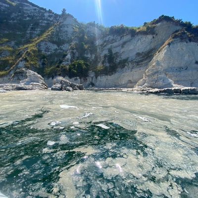 Mitten zur Urlaubszeit: Algenschleim vermiest Strandurlaub an der Adria