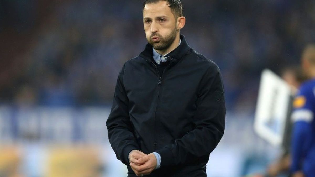 Nächste Pleite für Domenico Tedesco und Schalke 04