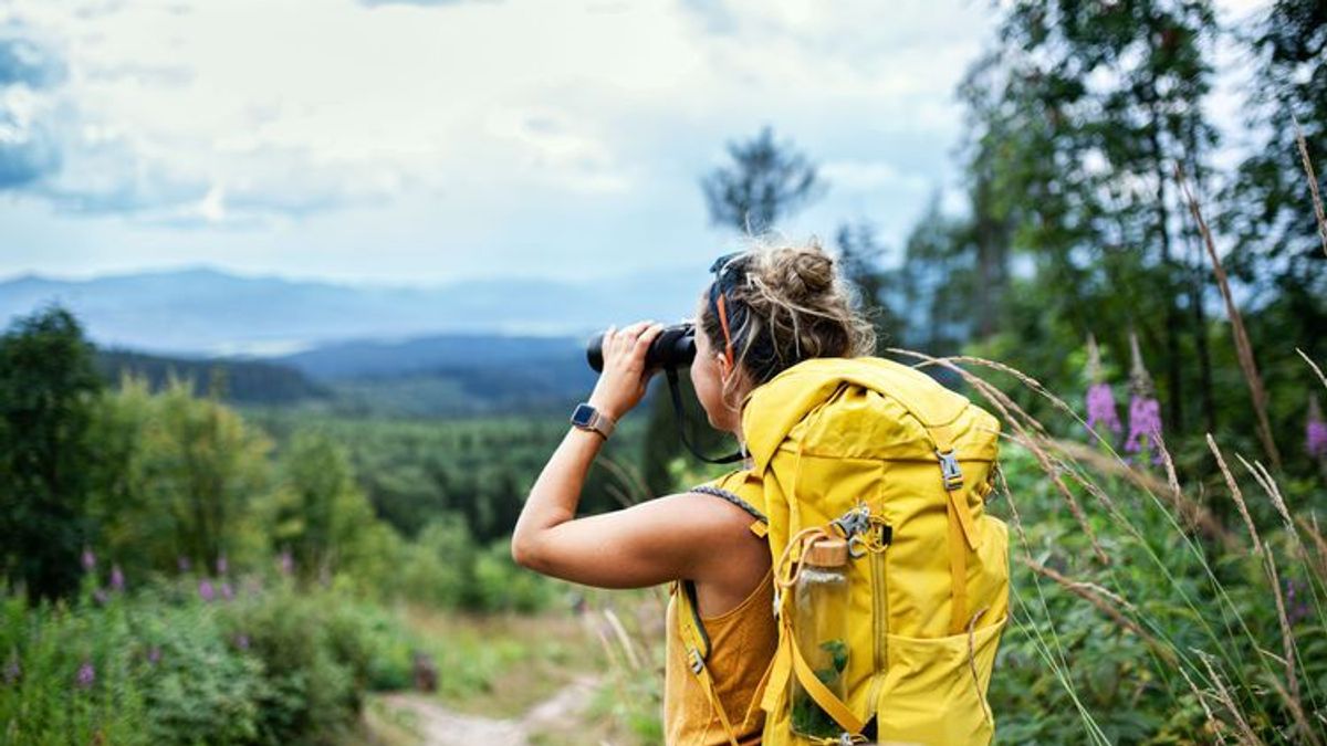 Tagestouren wandern – mit dieser Ausrüstung erreichst du dein Ziel