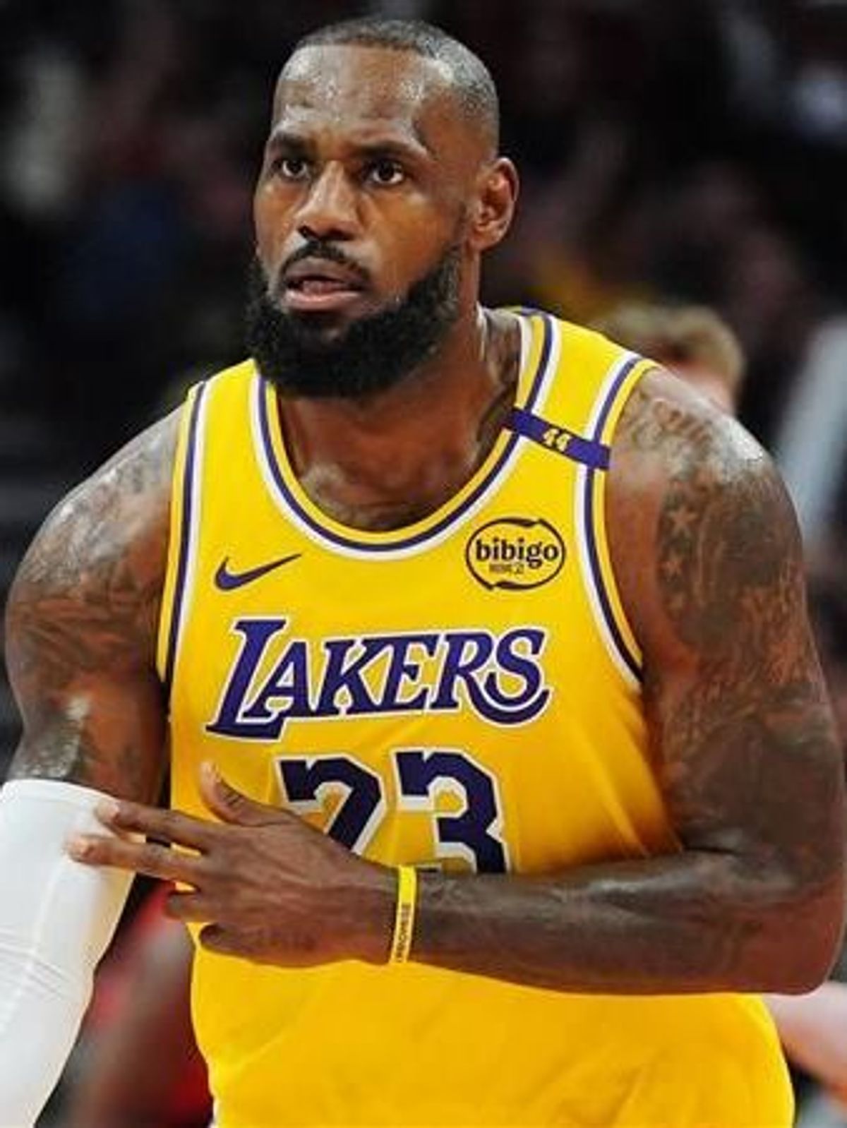 Ole Frekrs und Lebron James
