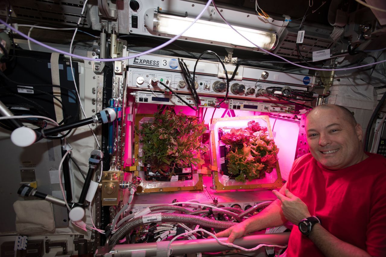 Auch Astronauten brauchen mal was Frisches. Die NASA hat Ihnen deswegen 2 Raum-Gemüsebeete geschickt. Auf koffergroßen "Veggies" haben jeweils 6 Pflanzen Platz. Geerntet wurden bisher unter anderem Chinakohl und Grünkohl.