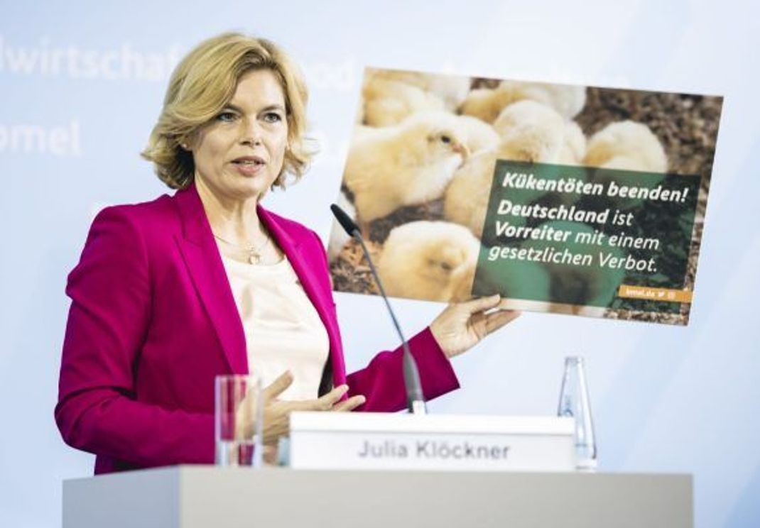 Die damalige Bundeslandwirtschaftsministerin Julia Klöckner, CDU, kündigte 2021 ein Gesetz zum Ausstieg aus dem Kükentöten an. Dieses gilt seit Jahresbeginn 2022.