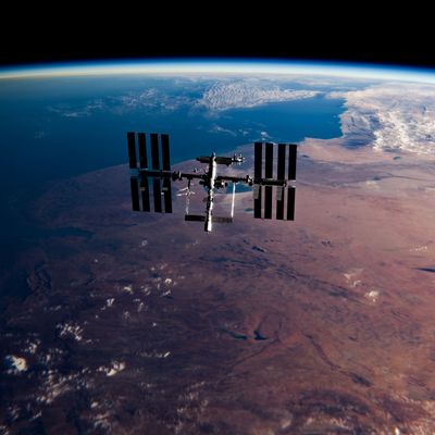 Mutiertes Bakterium auf Weltraumstation ISS entdeckt