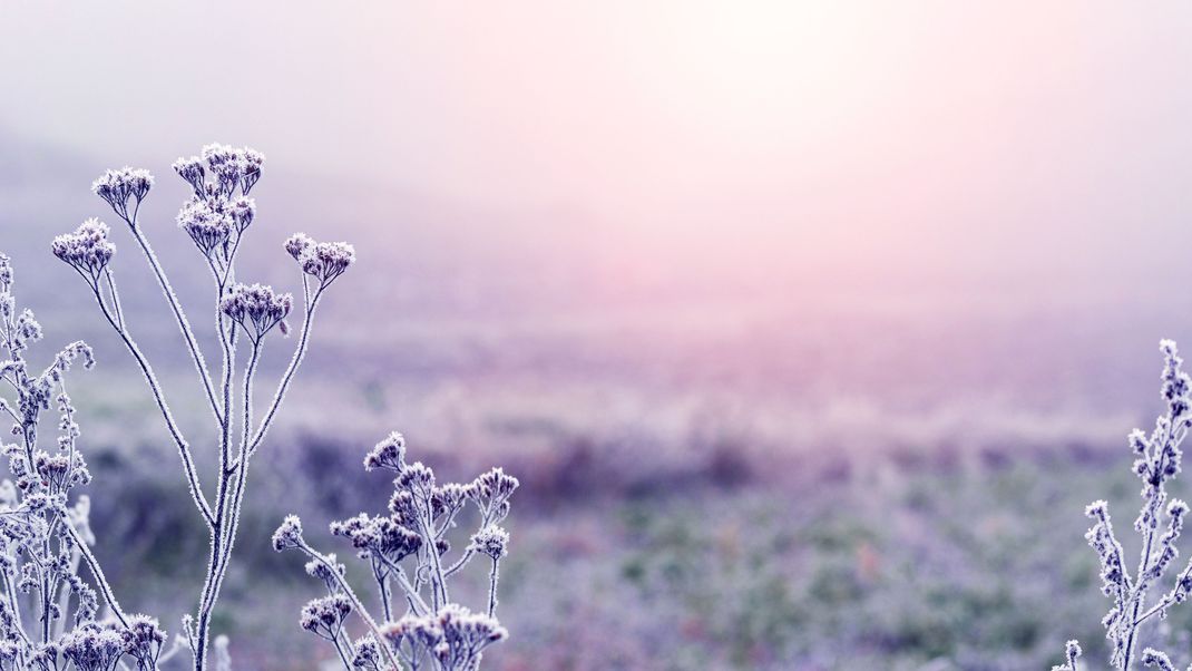 Trotz frostiger Temperaturen beginnt im November die 5. Jahreszeit: Karneval.