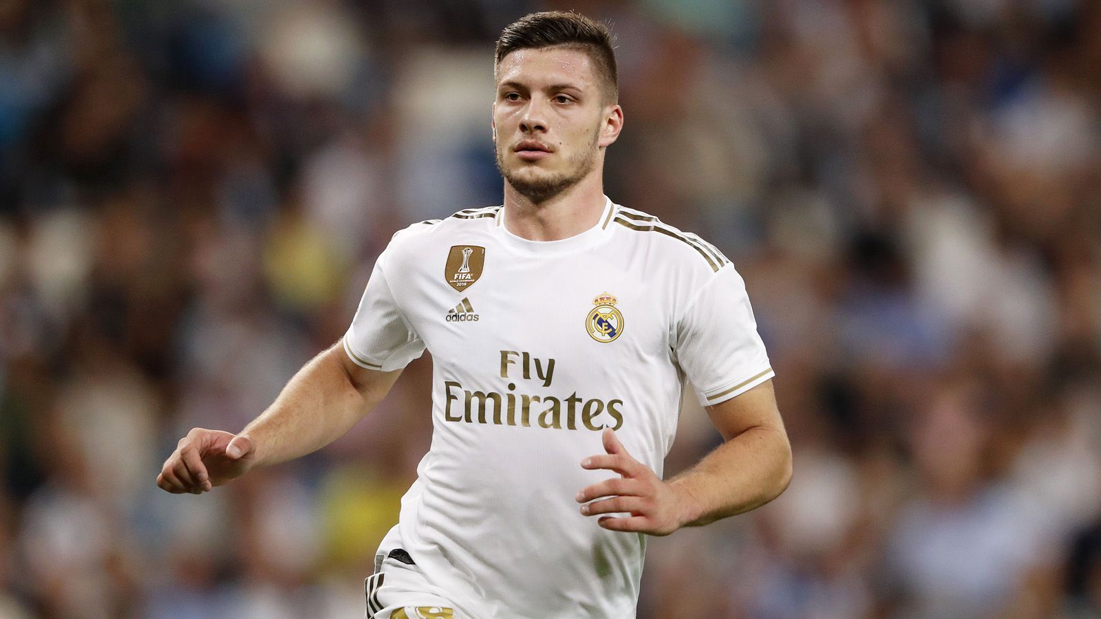 
                <strong>Luka Jovic </strong><br>
                Alter: 22Position: Mittelstürmer Letzter Wechsel: 2019 - Von Eintracht Frankfurt zu Real Madrid für ca. 60 Millionen Euro
              