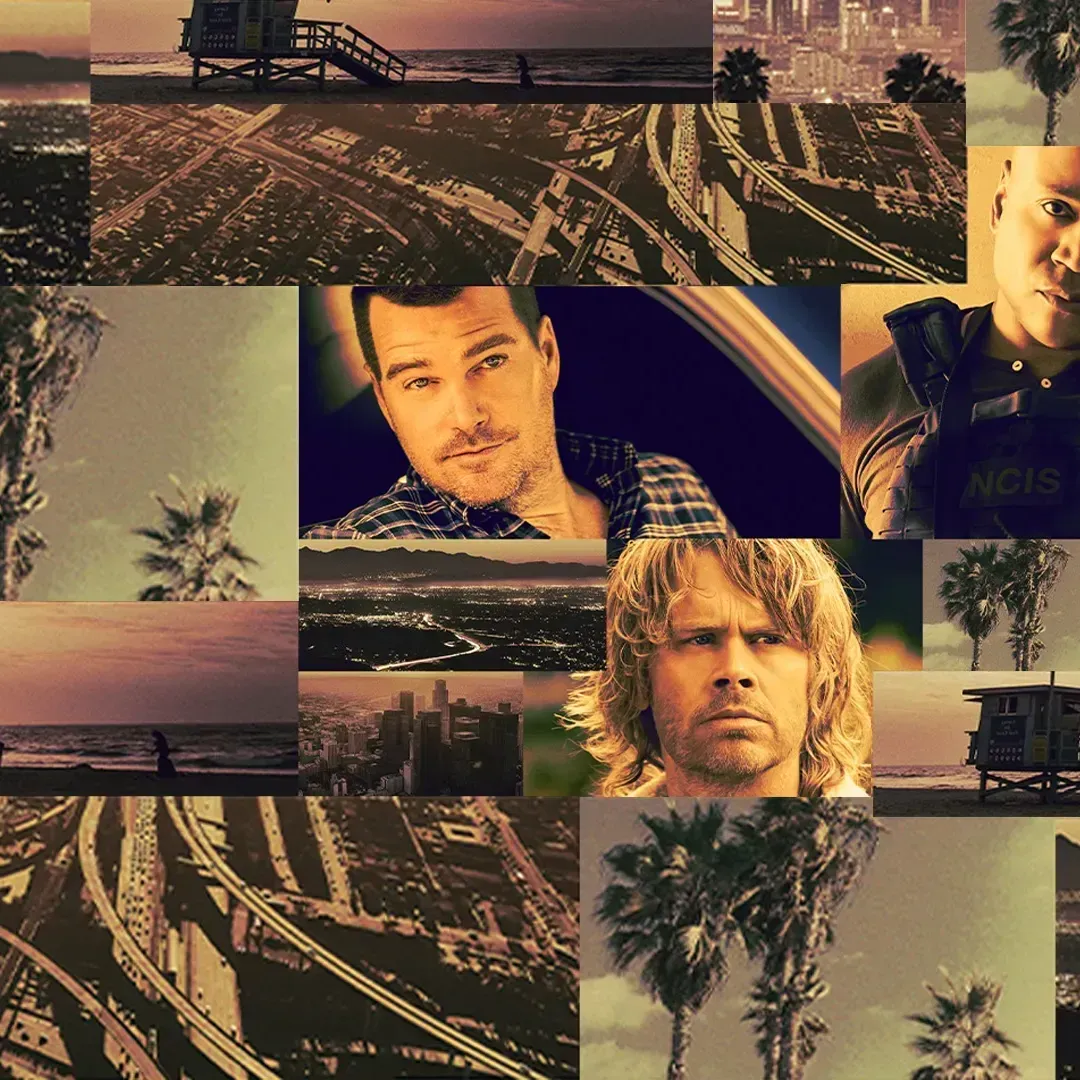 "Navy CIS: Los Angeles"