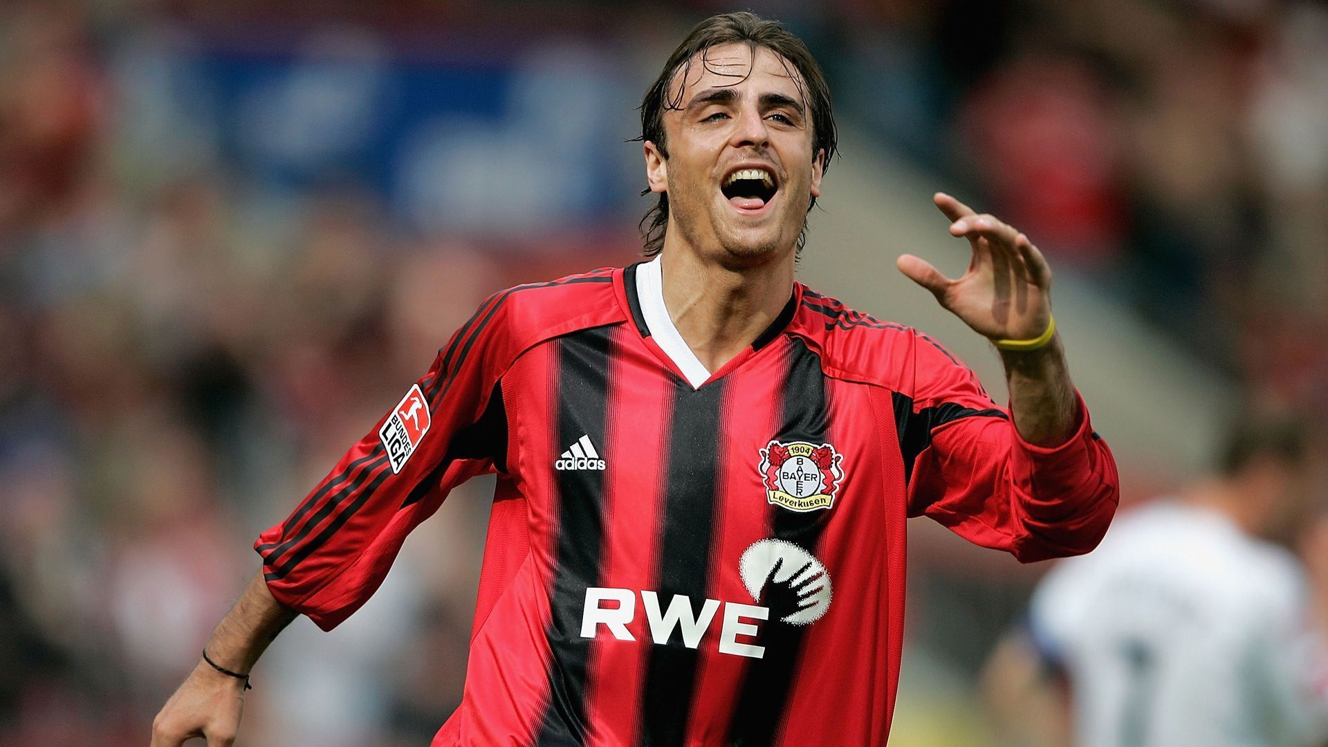 
                <strong>Sturm: Dimitar Berbatov</strong><br>
                Dimitar Berbatov kam im Januar 2001 aus seiner bulgarischen Heimat von ZSKA Sofia nach Leverkusen. Nach anfänglichen Schwierigkeiten arbeitete sich Berbatov in der Saison 2001/02 langsam an die erste Elf heran. In seinen fünfeinhalb Jahren bei Leverkusen mauserte sich der Bulgare zu einem hervorragenden Stürmer und erzielte für die Werkself 91 Treffer. (Nach Ulf Kirsten hat Berbatov mit 0,45 die zweitbeste Torquote aller Bayer-Spieler). Berbatov trug zunächst die Trikotnummer 12, nach dem Karriereende von Ulf Kirsten übernahm er dessen Trikotnummer 9. In der Saison 2004/05 erzielte Berbatov 20 Saisontreffer und bildete mit seinem Sturmpartner Andrij Woronin das beste Stürmerduo der Liga (35 Treffer). 2006 nahm Berbatov Abschied von Leverkusen und wechselte in die Premier League zu Tottenham Hotspur.
              