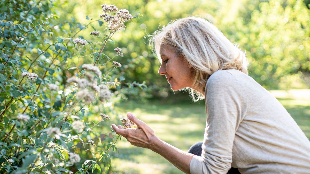 biologisch vielvältiger Garten