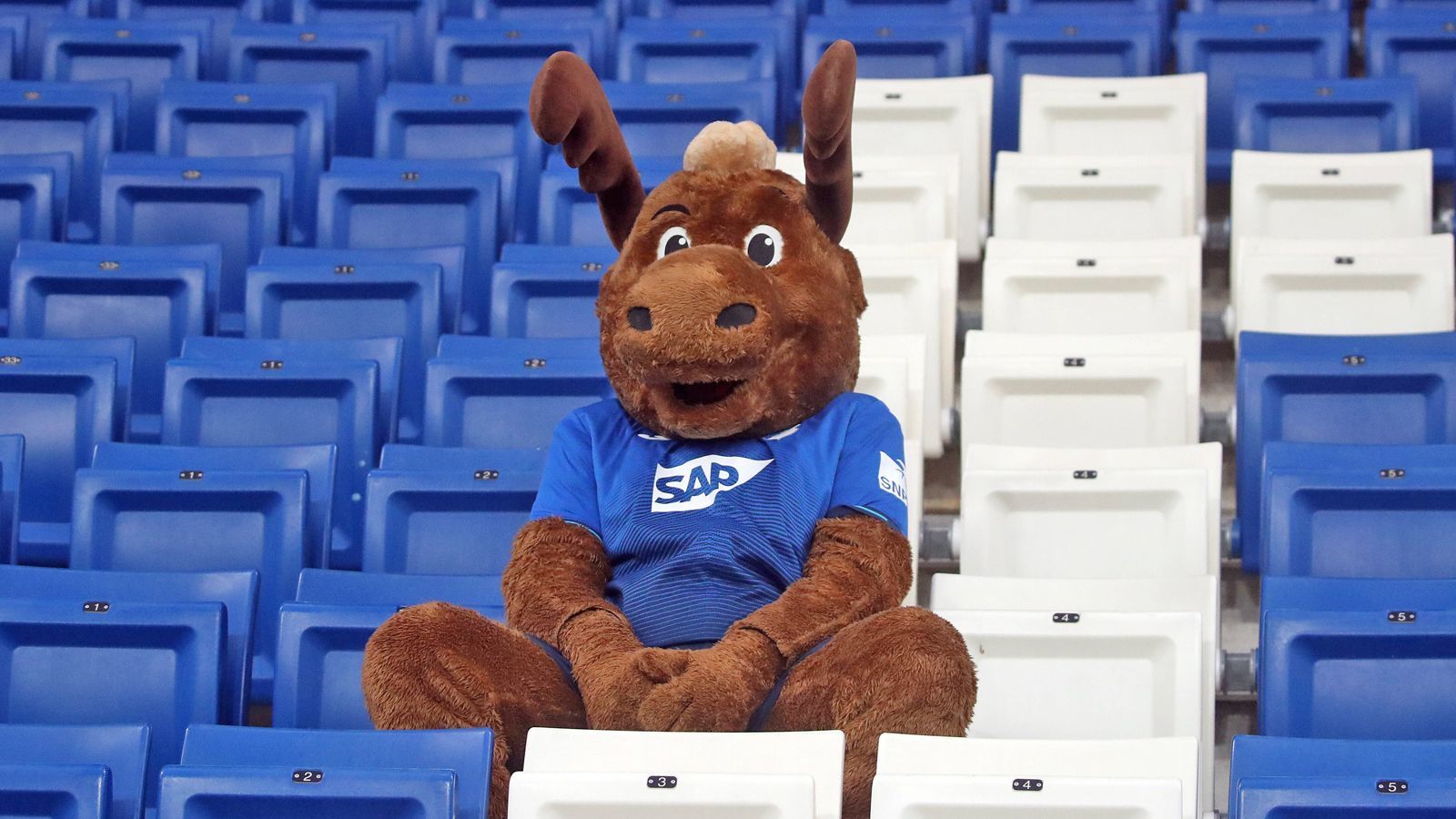 <strong>Platz 14: TSG 1899 Hoffenheim - Hoffi der Elch</strong><br>
                Ein Elch im Kraichgau? Der arme Hoffi, geboren in schwedischen Wäldern unter dem Namen Sven, weiß selber nicht, wie er da gelandet ist. Verirrt und dehydriert fand er sich eines Abends im Garten von Dietmar Hopp wieder. Der stellte ihn vor die Wahl: ein Leben als das bedeutungsloseste Maskottchen der Liga oder ein Ende als Fleischbällchen in der Möbelhauskette seines Heimatlandes.