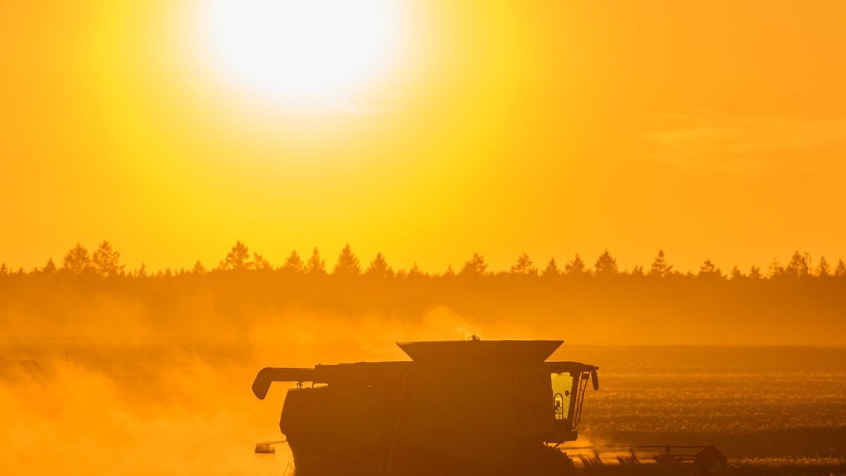 Getreideernte im Sonnenuntergang