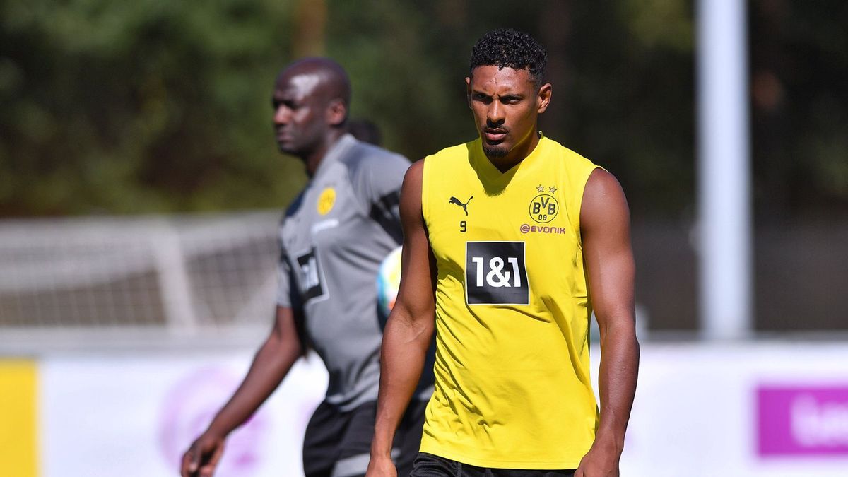 Borussia Dortmund: Nach Hodentumor - BVB-Star Haller braucht Operation 