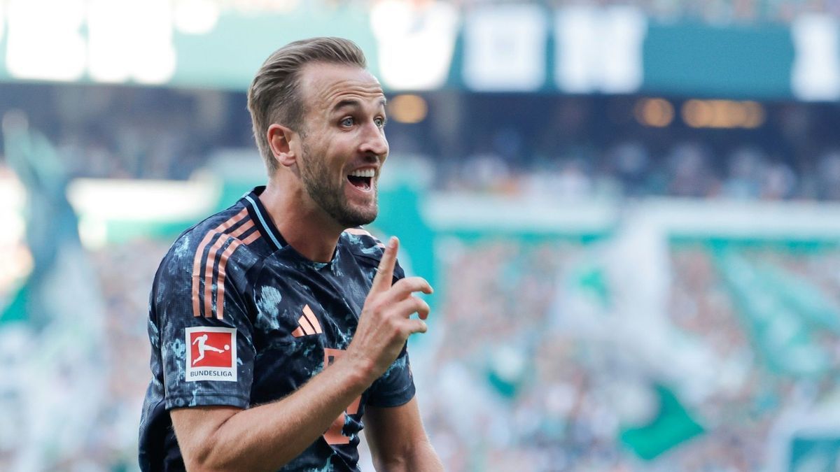 Führt die Torjägerliste der Königsklasse an: Harry Kane