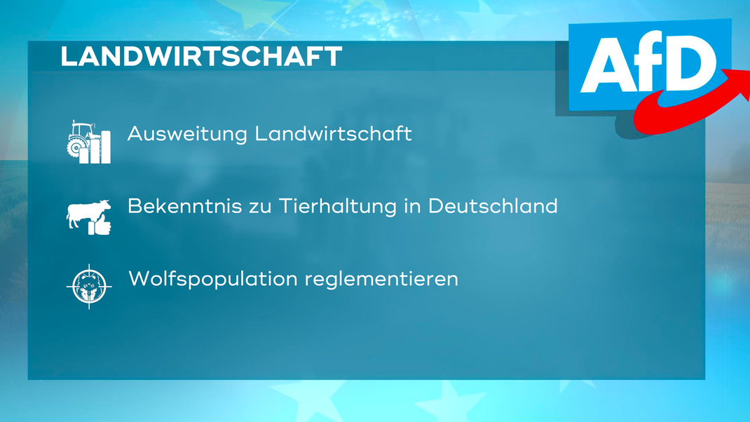 Die zentralen Forderungen der AfD in Bayern im Bereich "Landwirtschaft" zur Europawahl 2024.