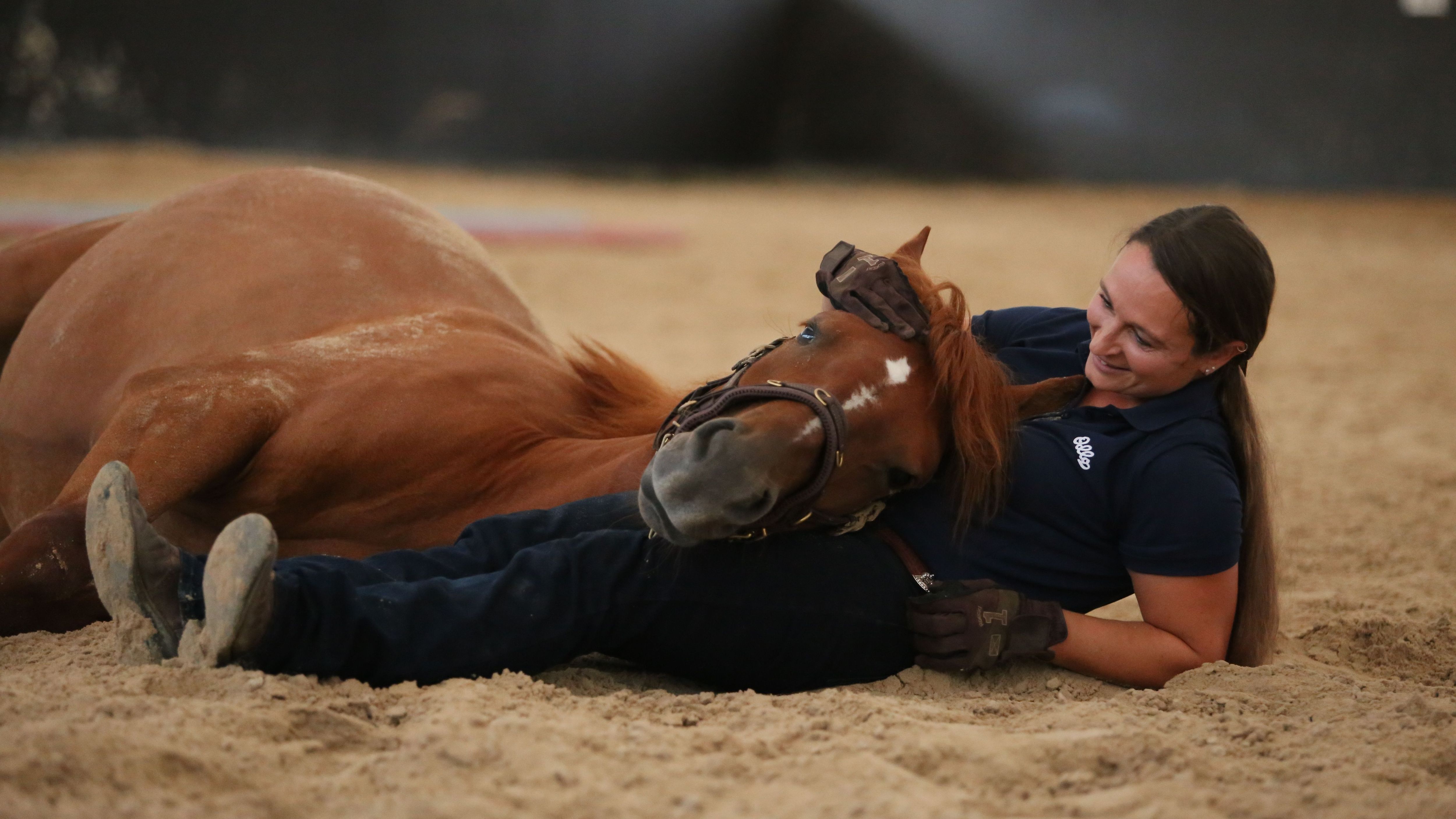 Kuschelzeit. Mensch und Pferd genießen die gemeinsame Zeit. Der wilde Mustang hat sich an Vivian Gabor gewöhnt.